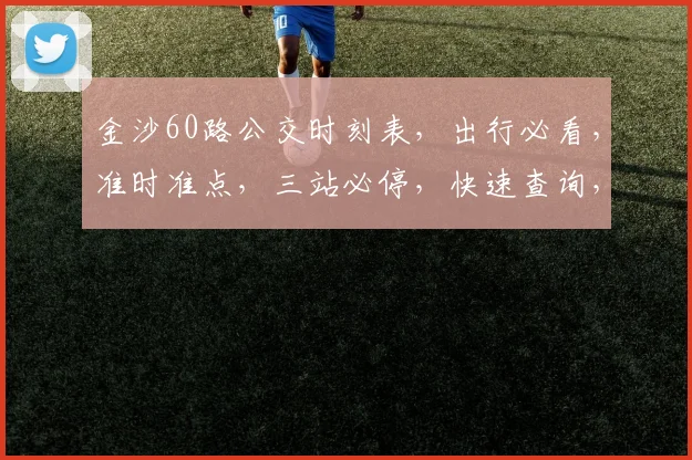 金沙60路公交时刻表，出行必看，准时准点，三站必停，快速查询，方便你我他。