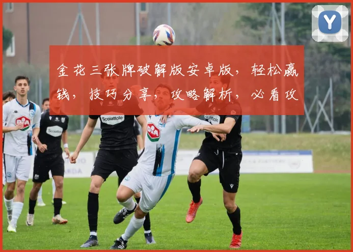 金花三张牌破解版安卓版，轻松赢钱，技巧分享，攻略解析，必看攻略